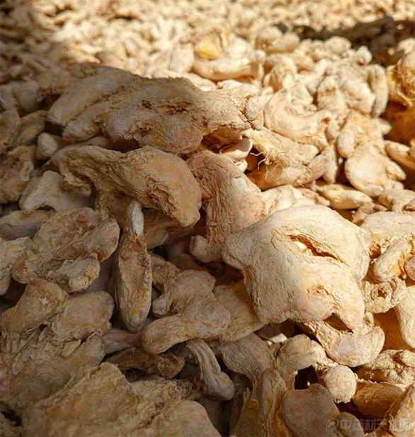 Dried Ginger